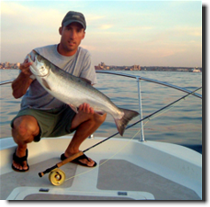 image of salmon for krill as a bait attractant