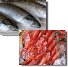 image of krill for the aquaculture industry