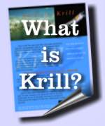 What is Krill?